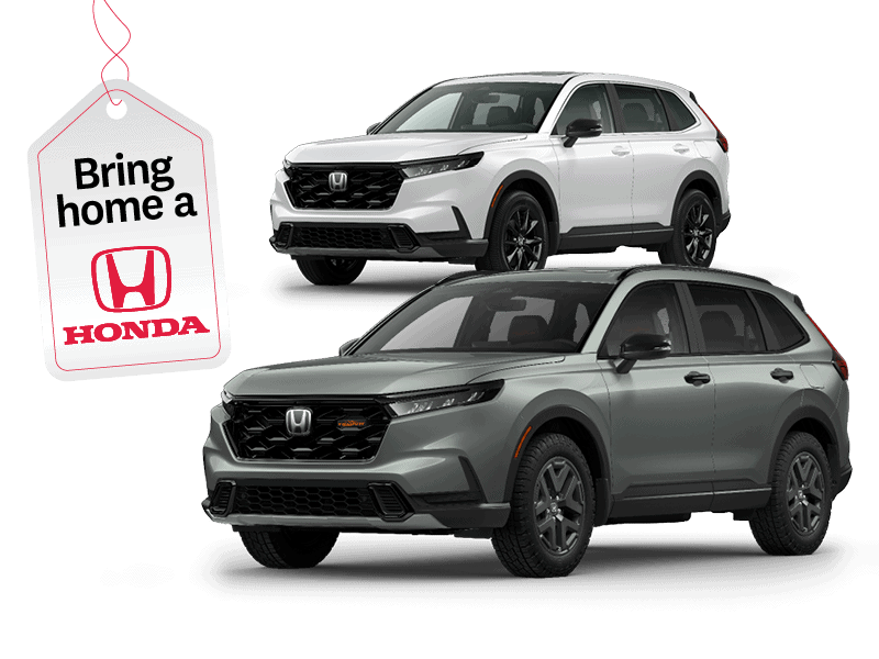 Sleigh your winter adventure