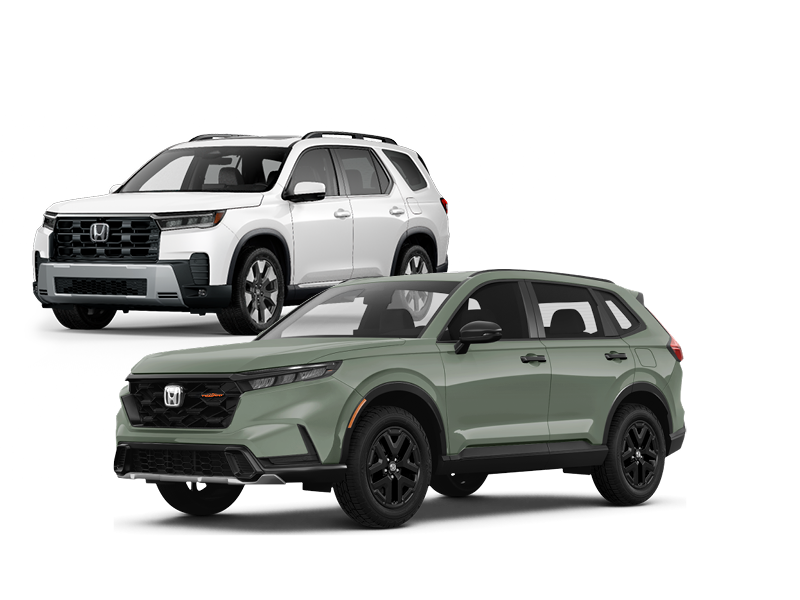 Where confidence meets possibility.