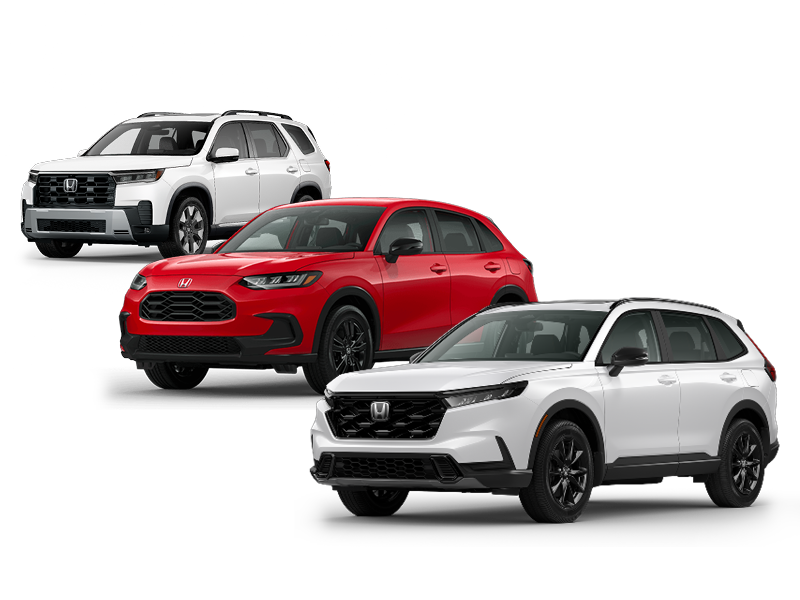 Drivers, start your adventures.