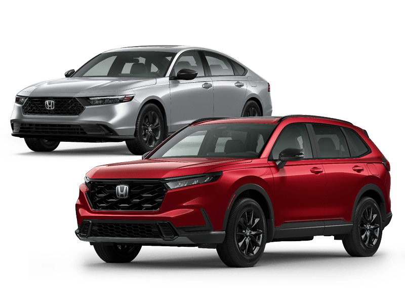 Where confidence meets possibility.