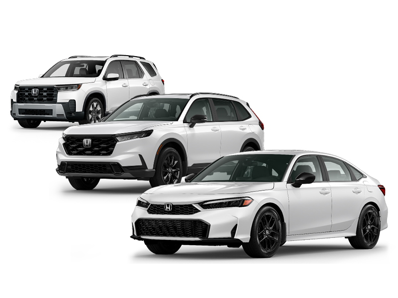 Drivers, start your adventures.